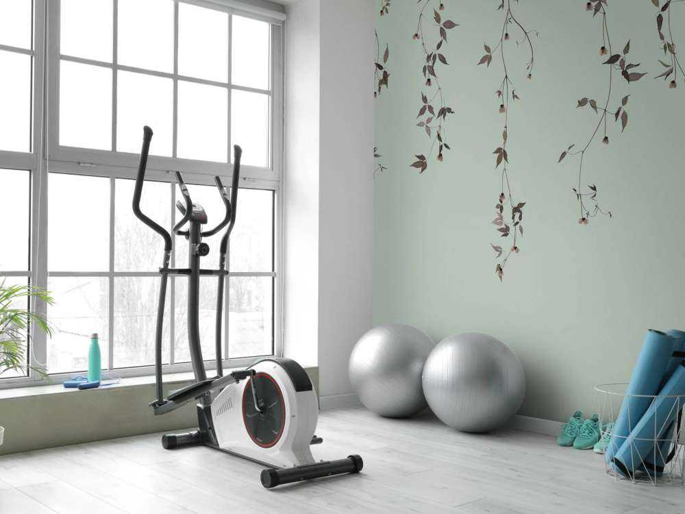 Rametti di clematide su grigio verde