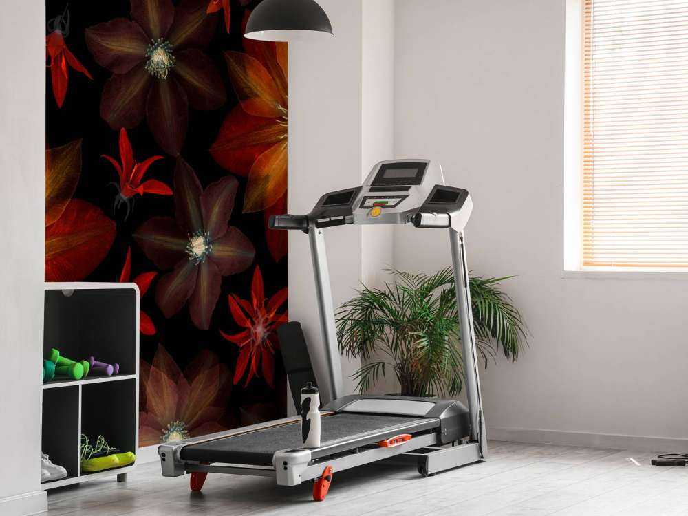 Fiori di clematide rossi