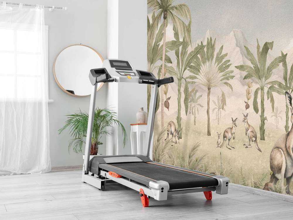 Paesaggio con canguro