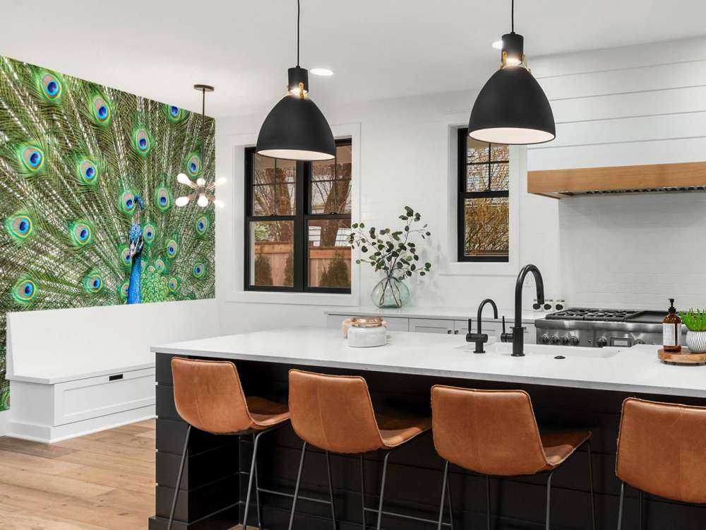 Pavone con piume dilatate