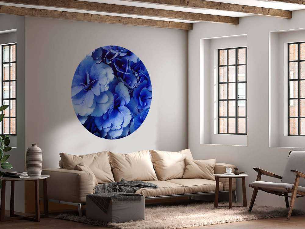 Ortensia in prima linea