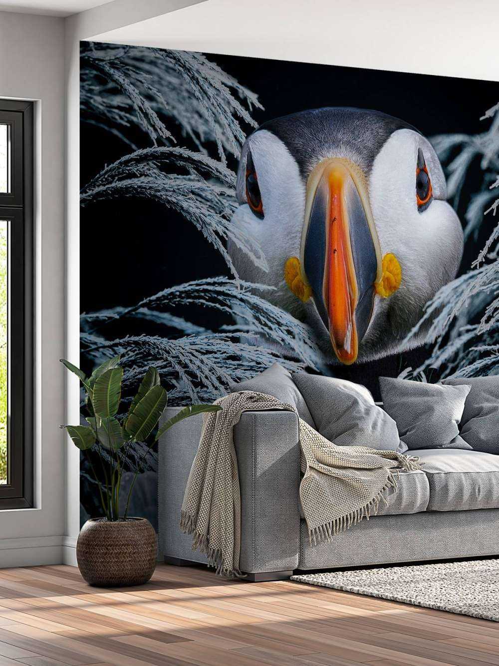 Atlantic Puffins Ritratto