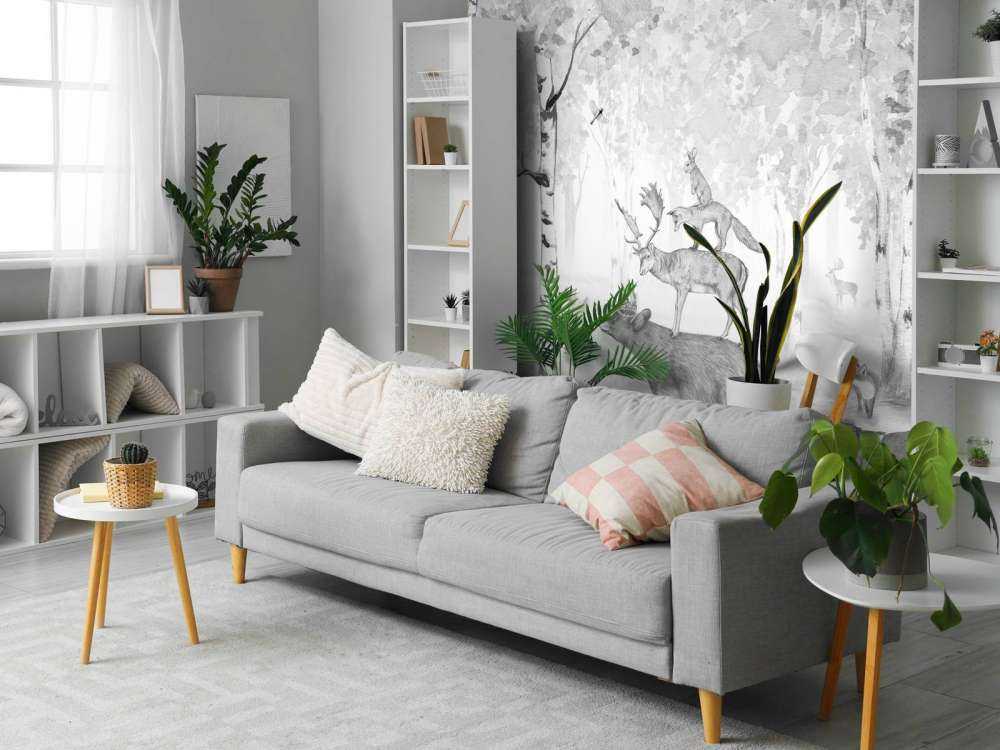 Bear King - Black and white