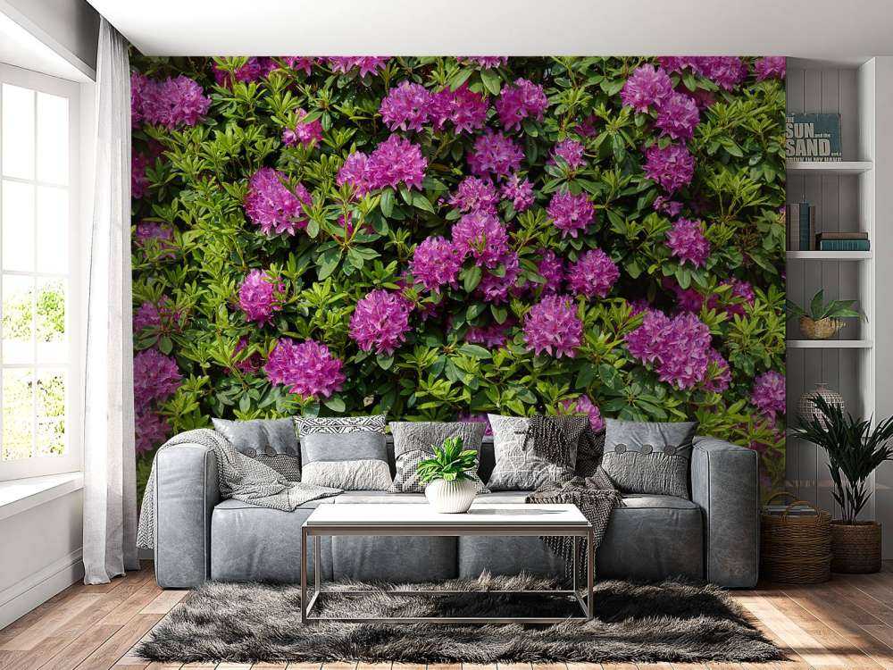 Rododendri 