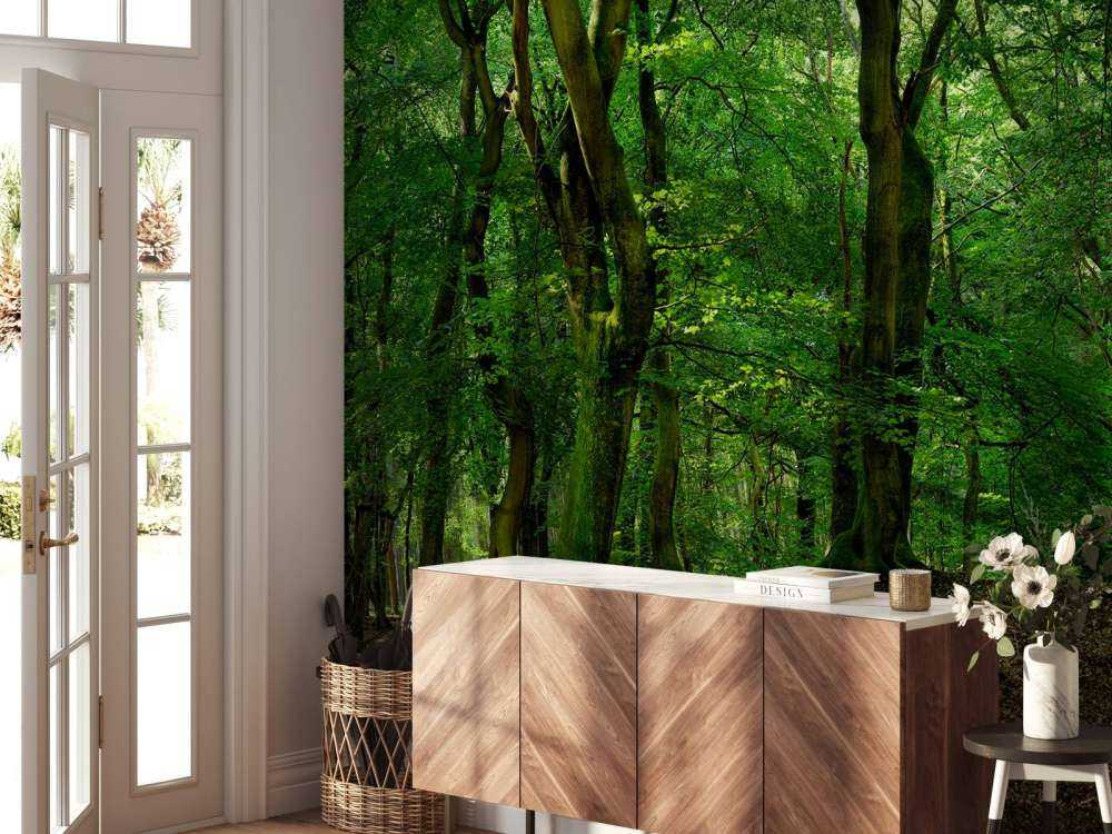 Alberi con foglie verdi 