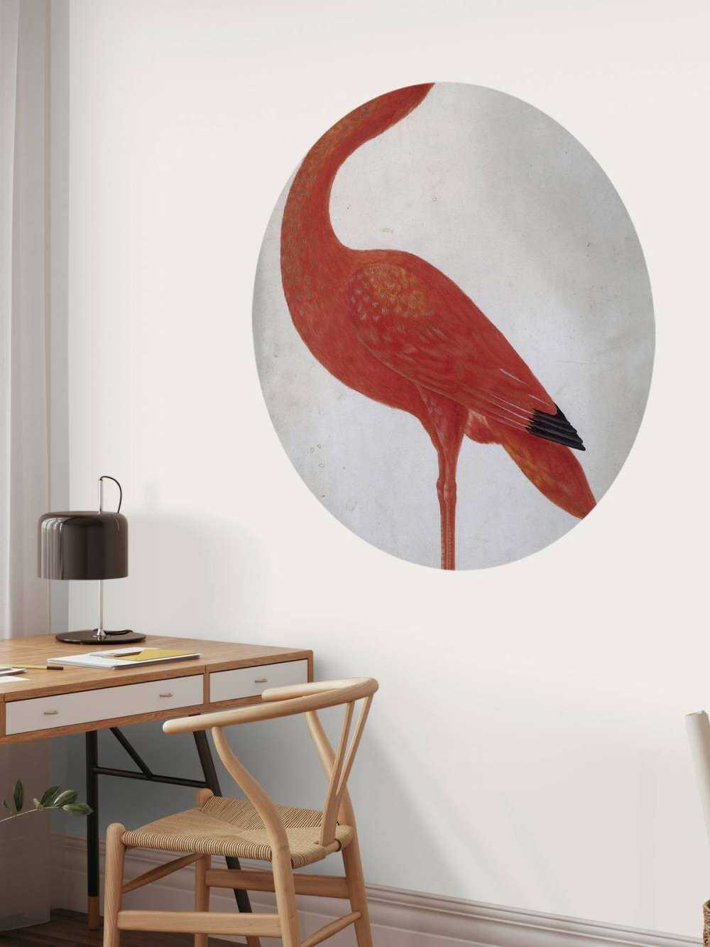 Ibis rosso con uovo