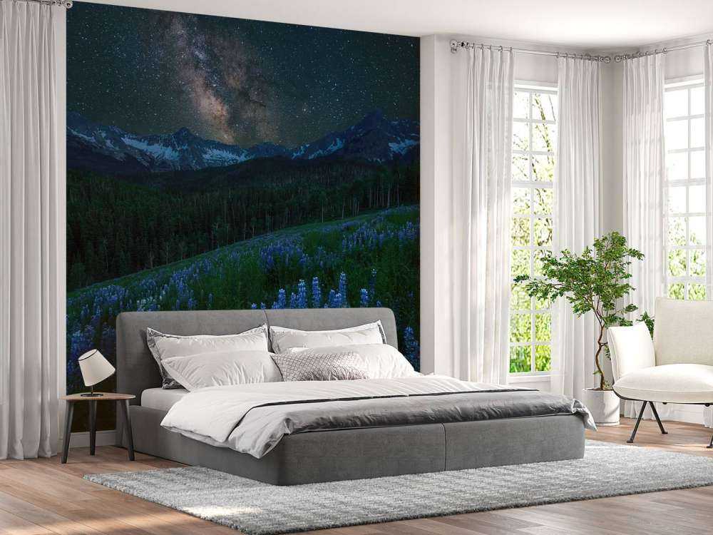 Milky Way over Lupine Slope