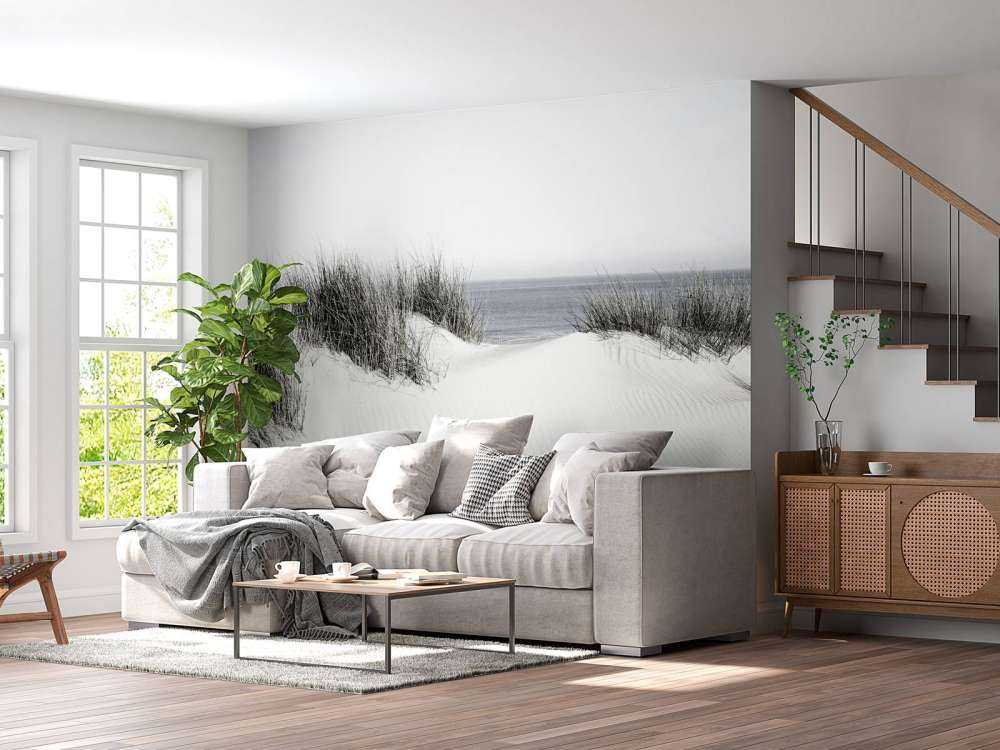 Passaggio dalla duna alla spiaggia in bianco e nero