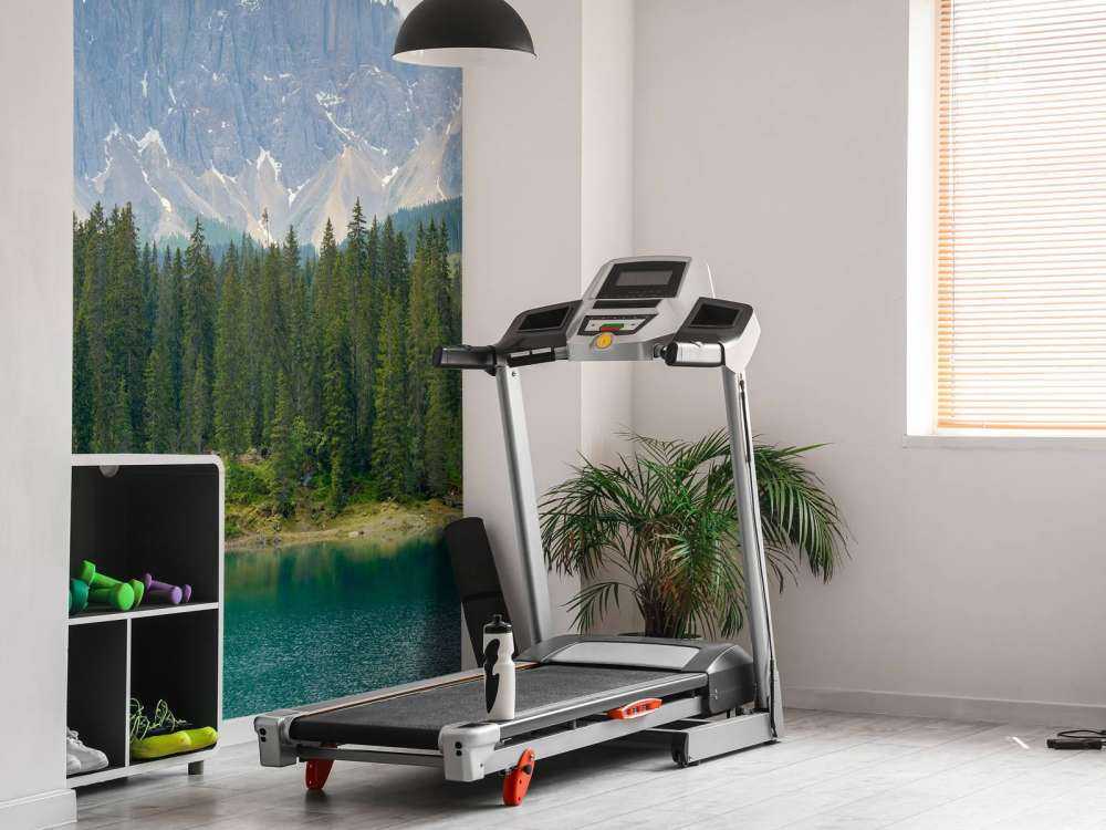 Filare di alberi vicino a un lago di montagna