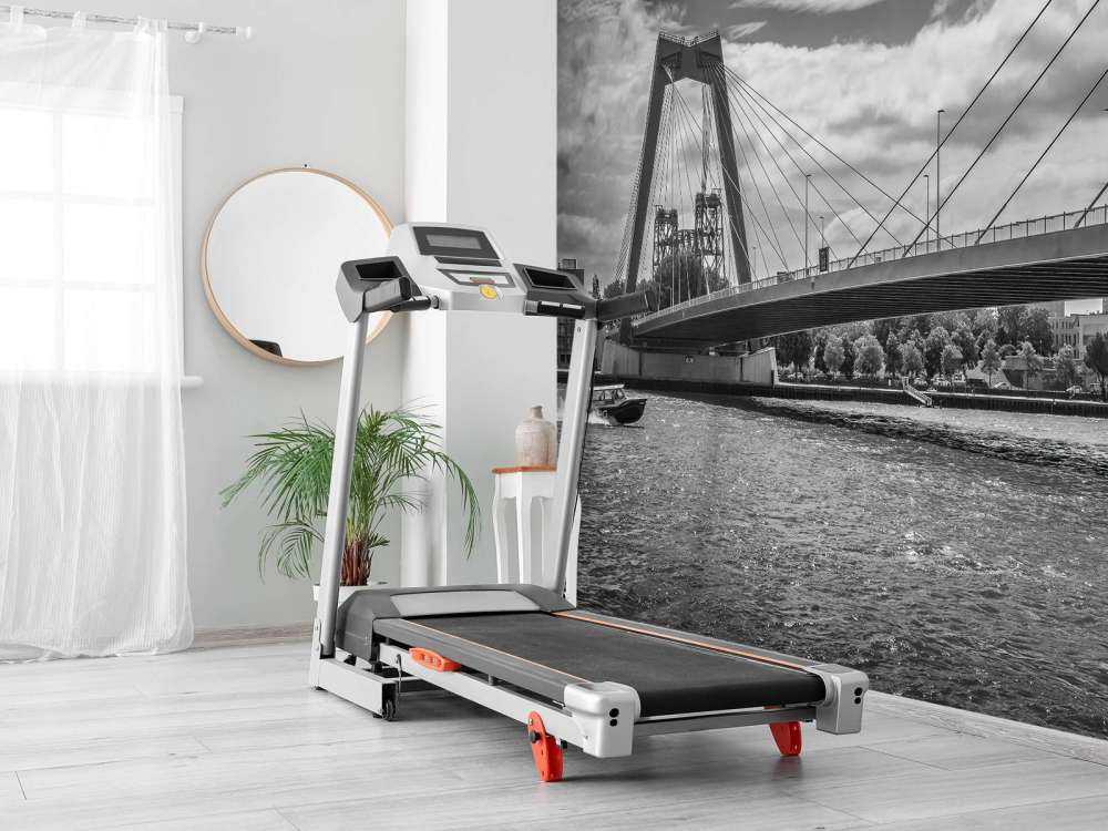 Passaggio del ponte Principe Willem Alexander a Rotterdam in bianco e nero