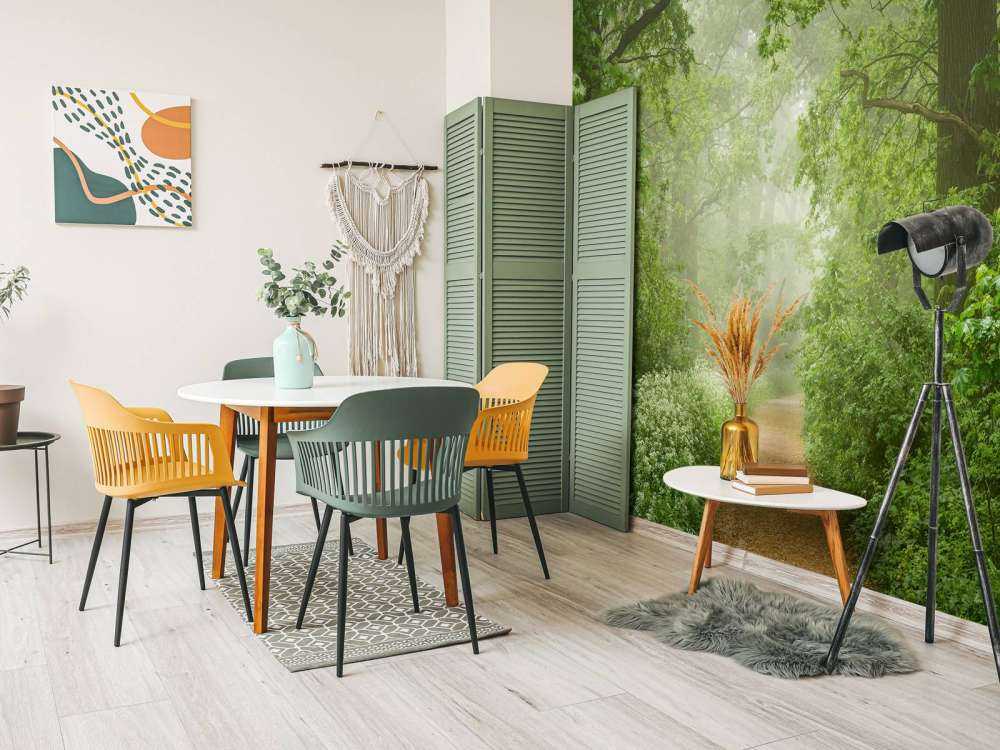 Foresta nebbiosa con sentiero