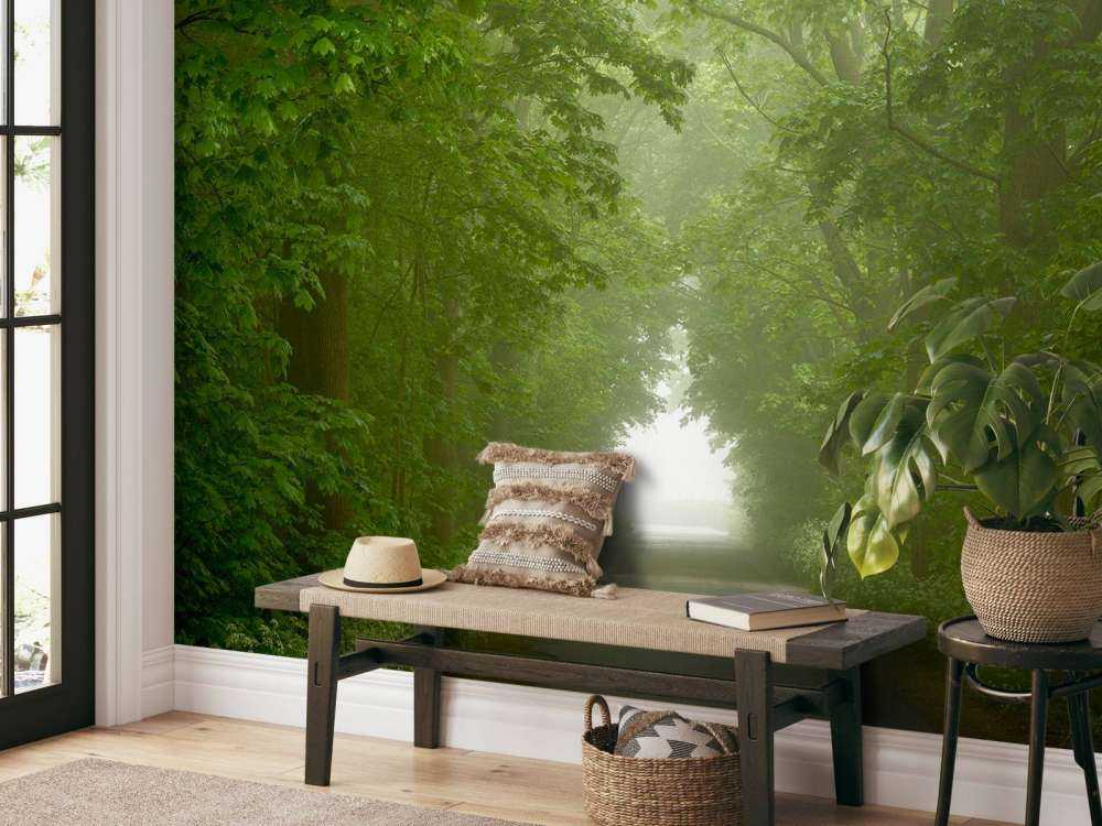 Foresta verde con sentiero nebbioso