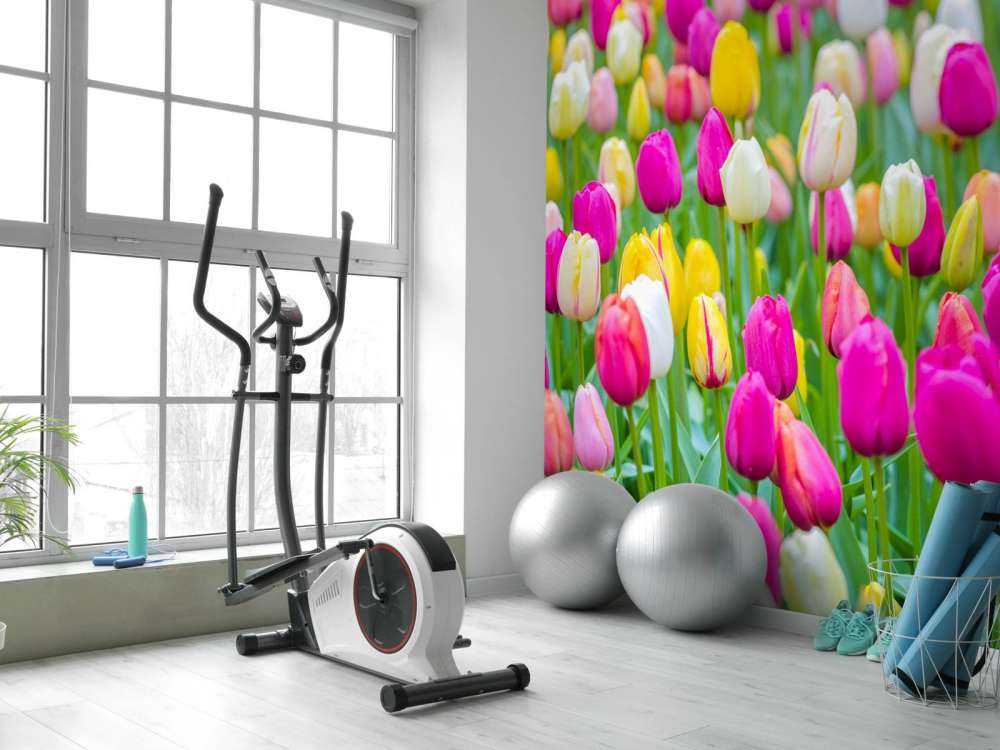 Tulipani colorati in un campo