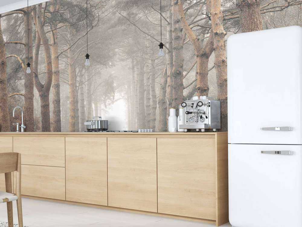 Foresta nella nebbia