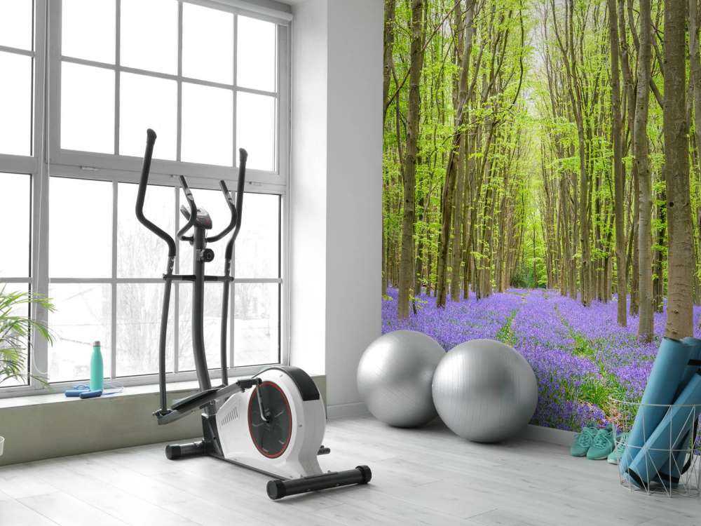 Tracce di pneumatici nella foresta