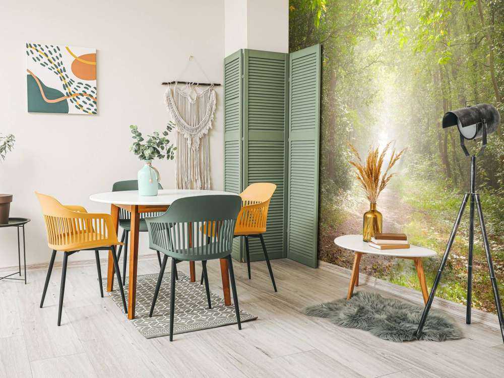 Sentiero attraverso la foresta nebbiosa