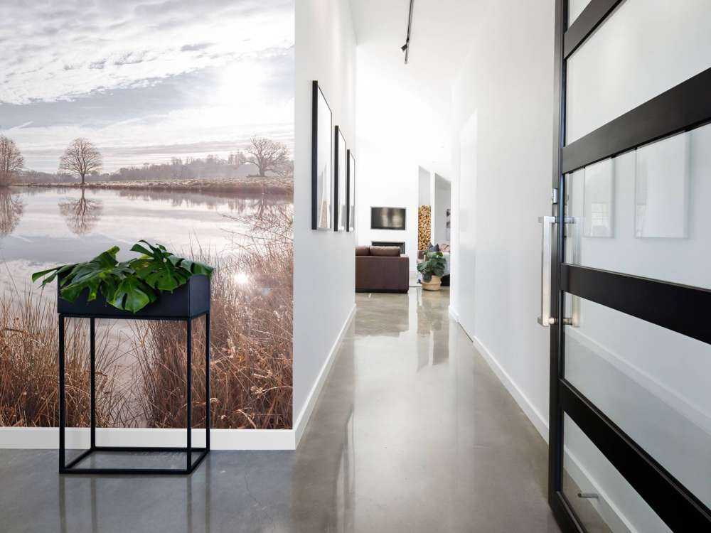 Stagno nella foresta