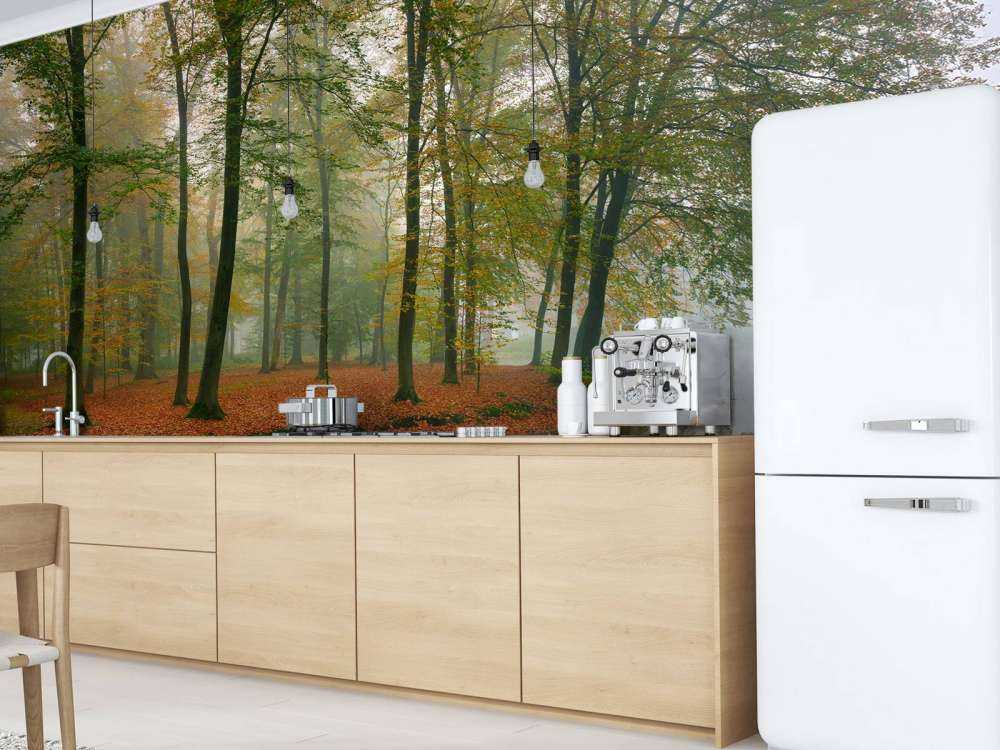 Riflessione degli alberi nello stagno