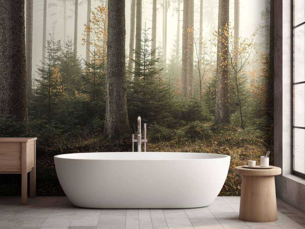 La foresta di Kaufunger