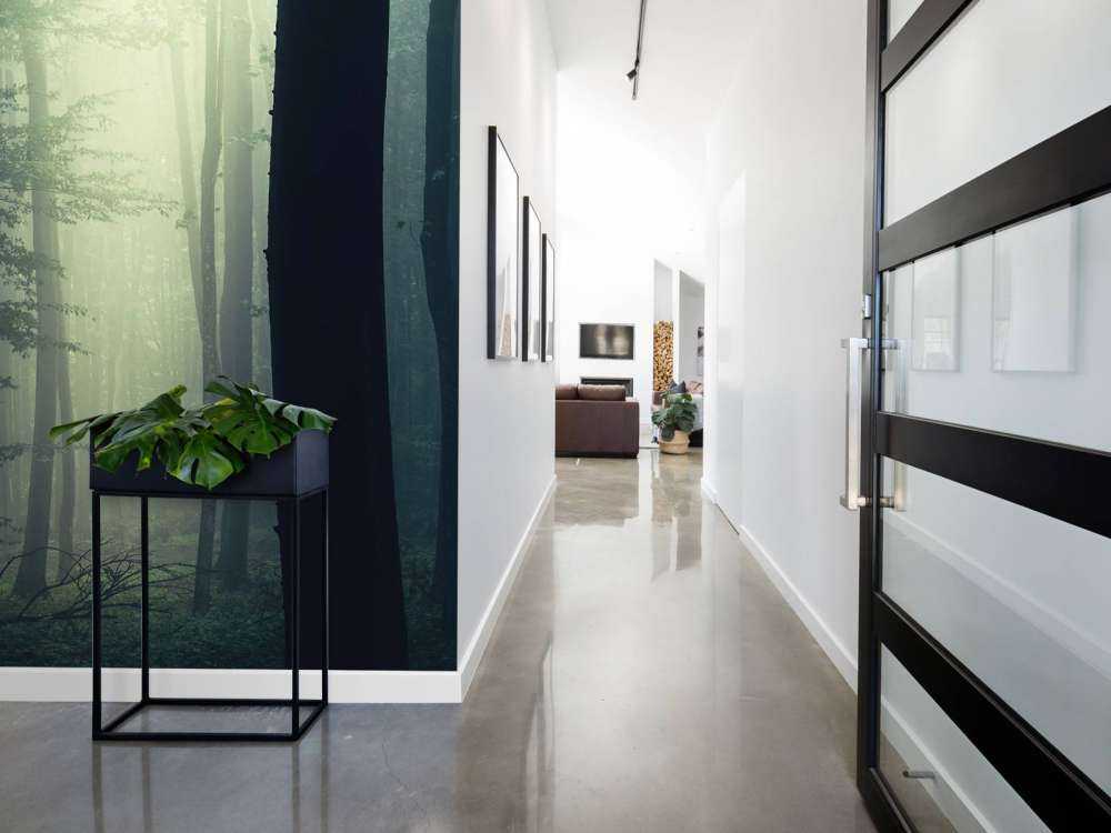 Raggio di sole nella foresta