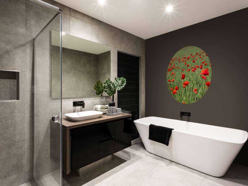 Campo di papaveri rossi