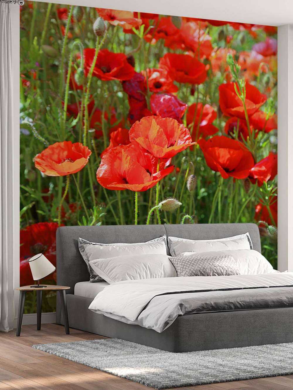 Primo piano di papaveri