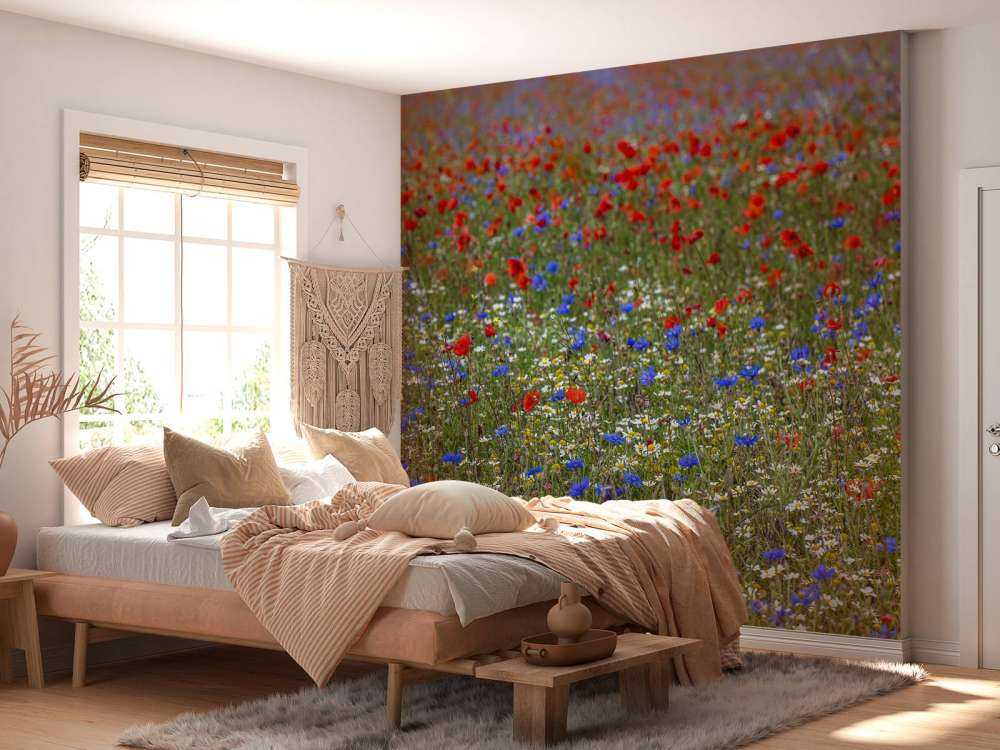 Campo pieno di papaveri