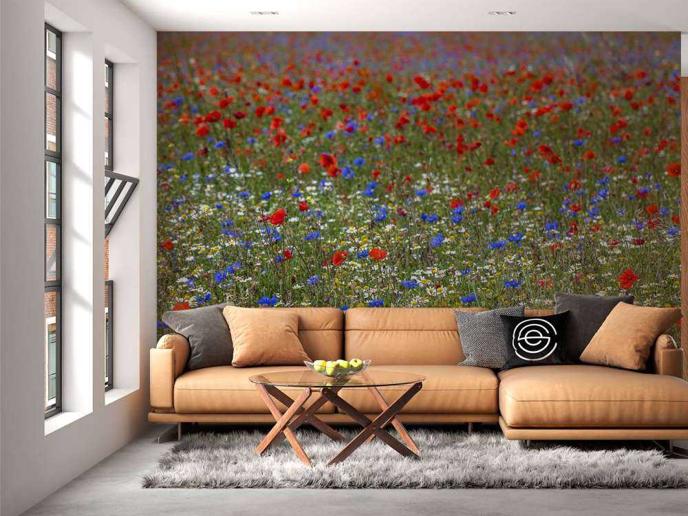 Campo pieno di papaveri