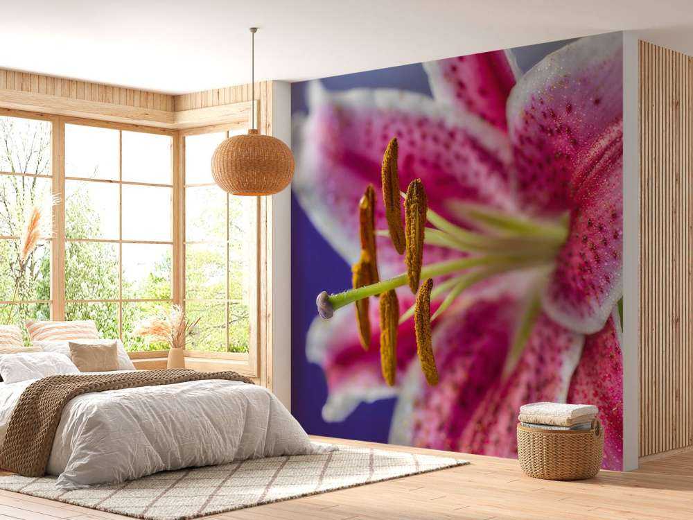 Fiore rosa ravvicinato