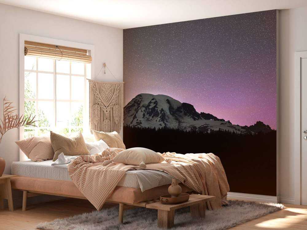 Monte Rainier con l'aurora boreale