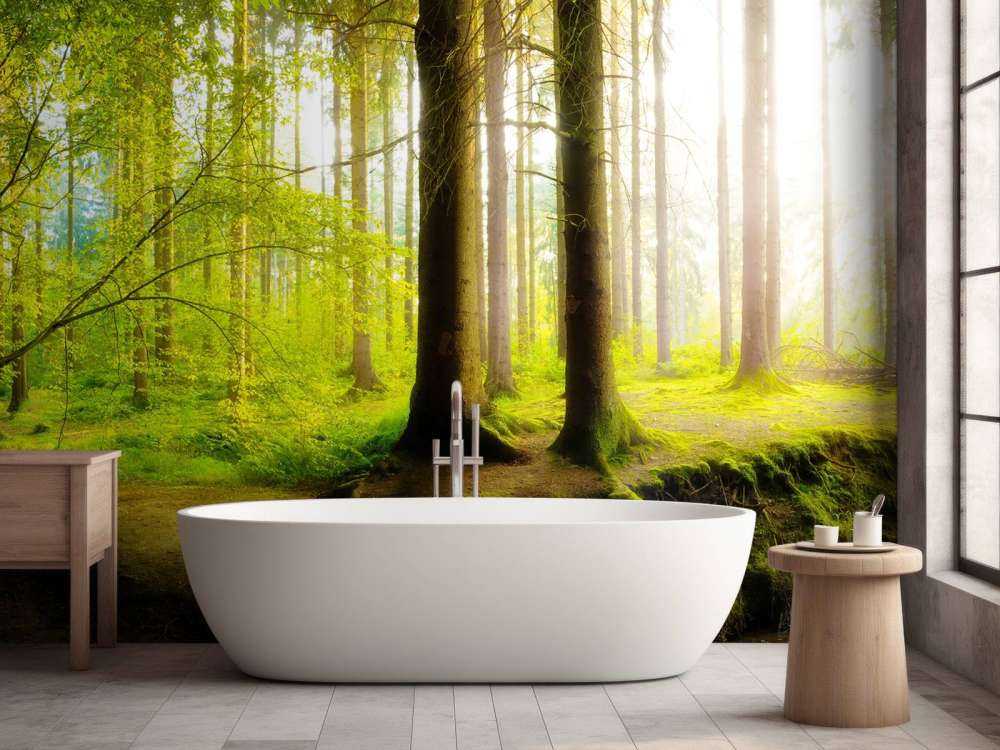 Fresca foresta verde