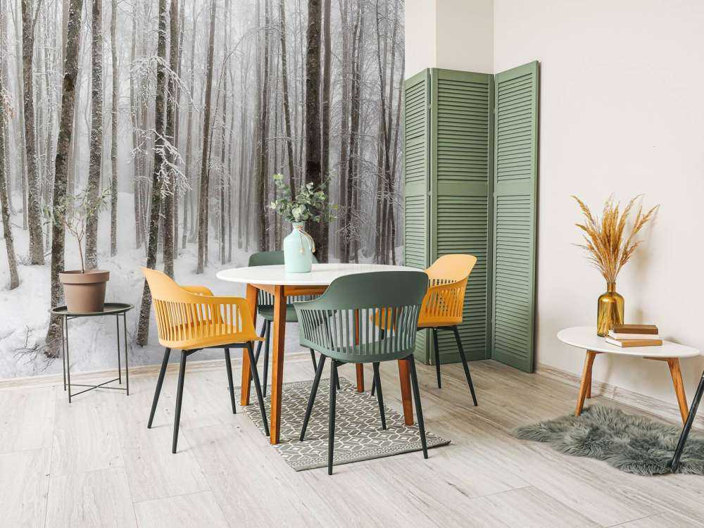 Foresta di faggio con neve