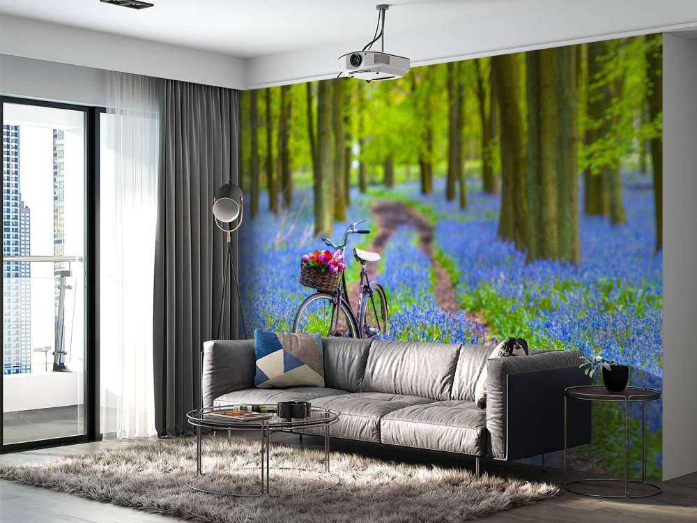 Bicicletta nella foresta