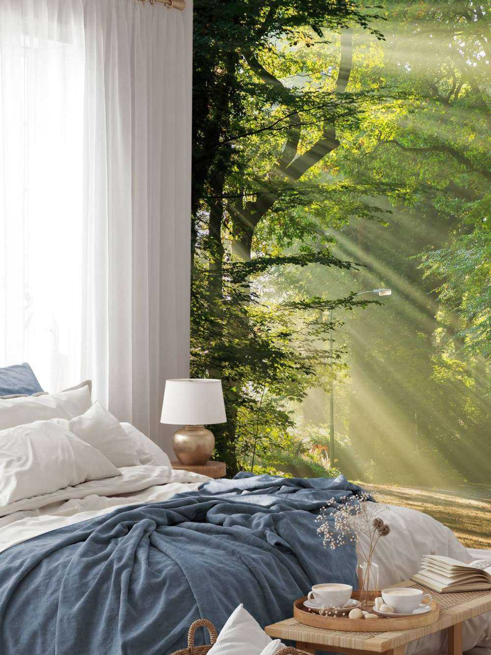 Raggi di sole attraverso gli alberi