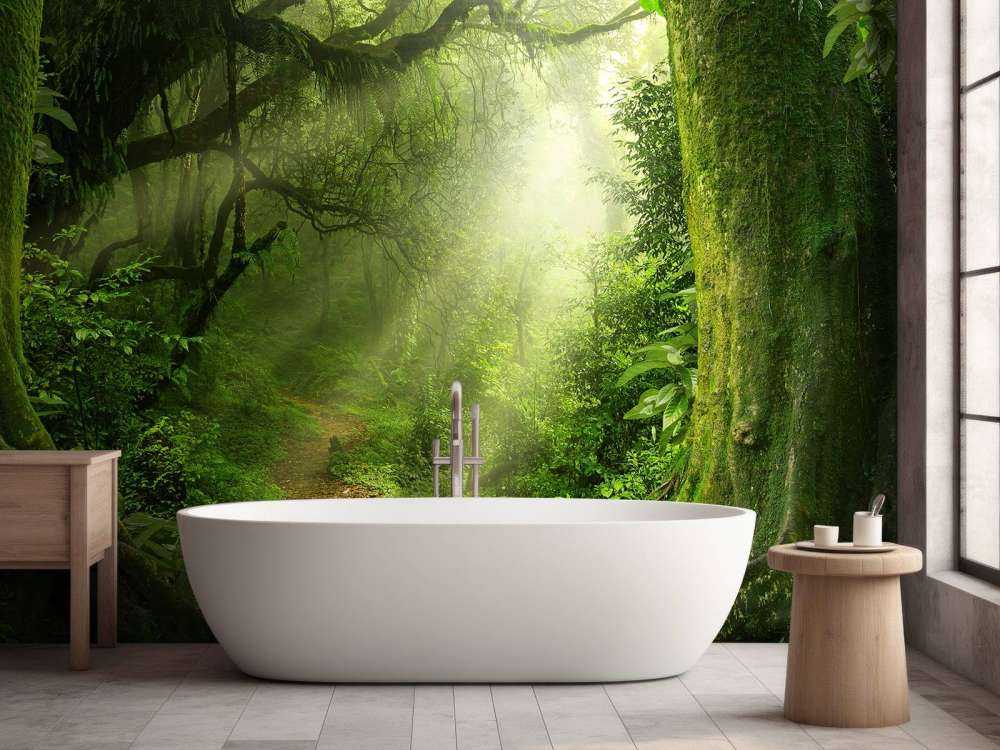 Giungla con raggi di sole