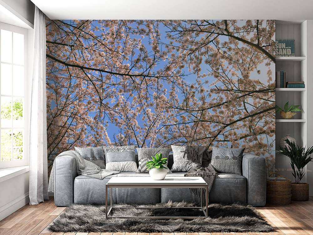 Rami in fioritura in fiore