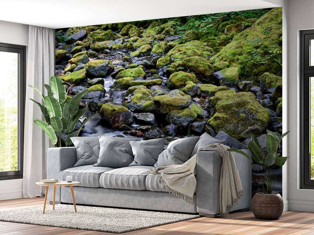 Acqua corrente con massi