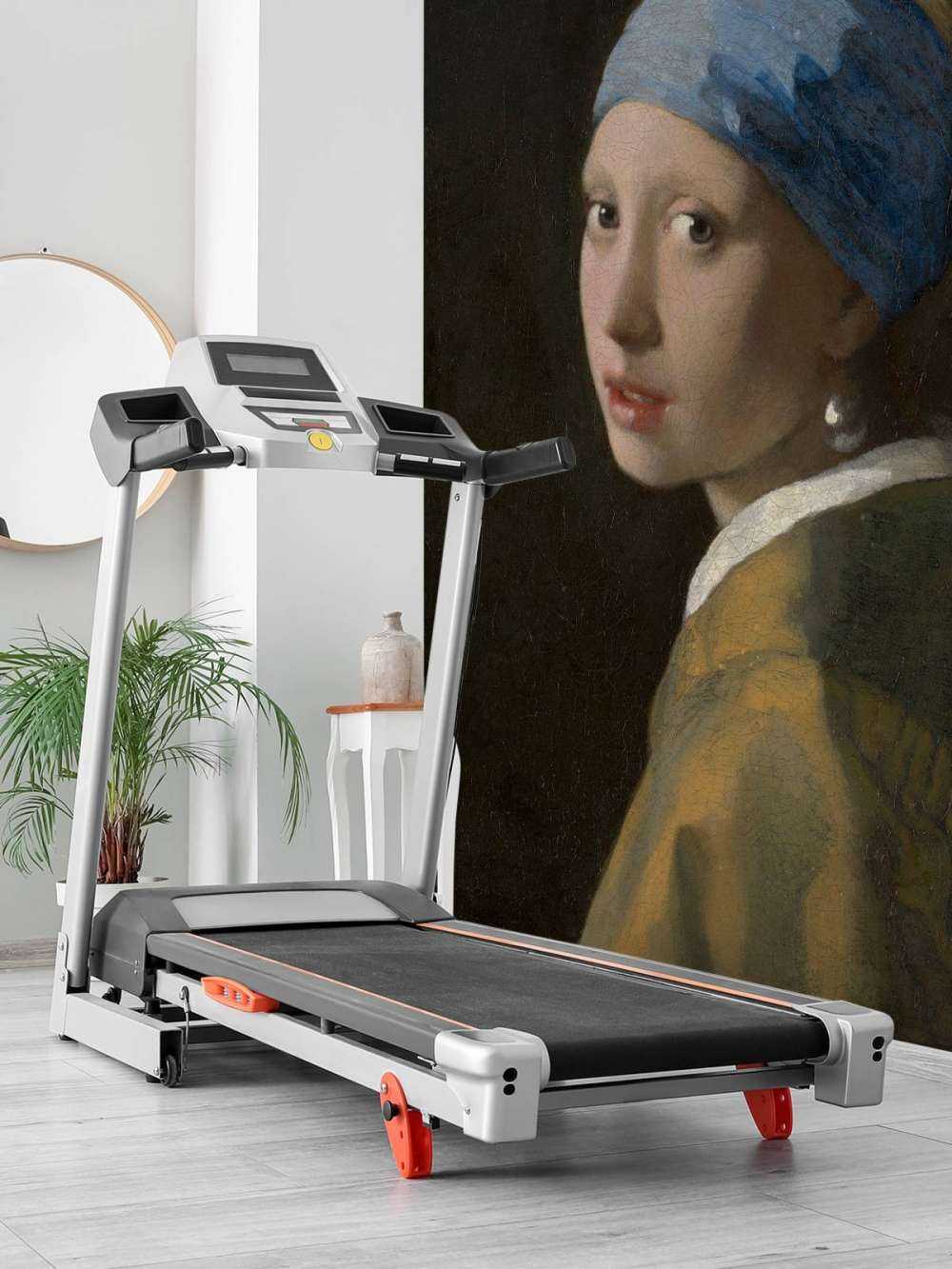 Ragazza con la perla