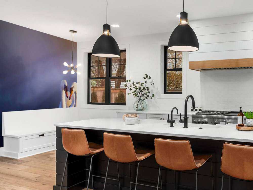 Amore coppia cigni bianchi coppia bianco