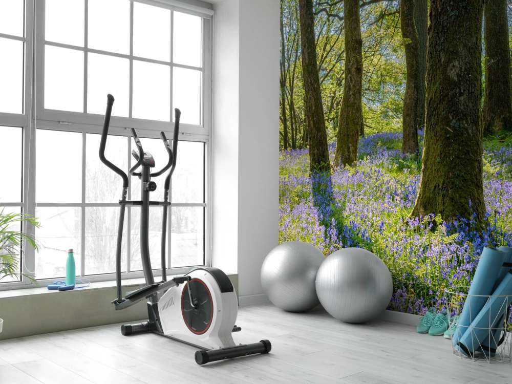 Panorama primaverile in un bosco