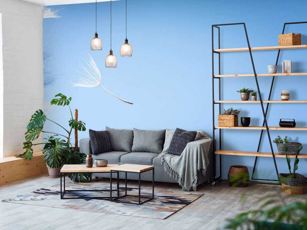 Flying fluff dente di leone volante