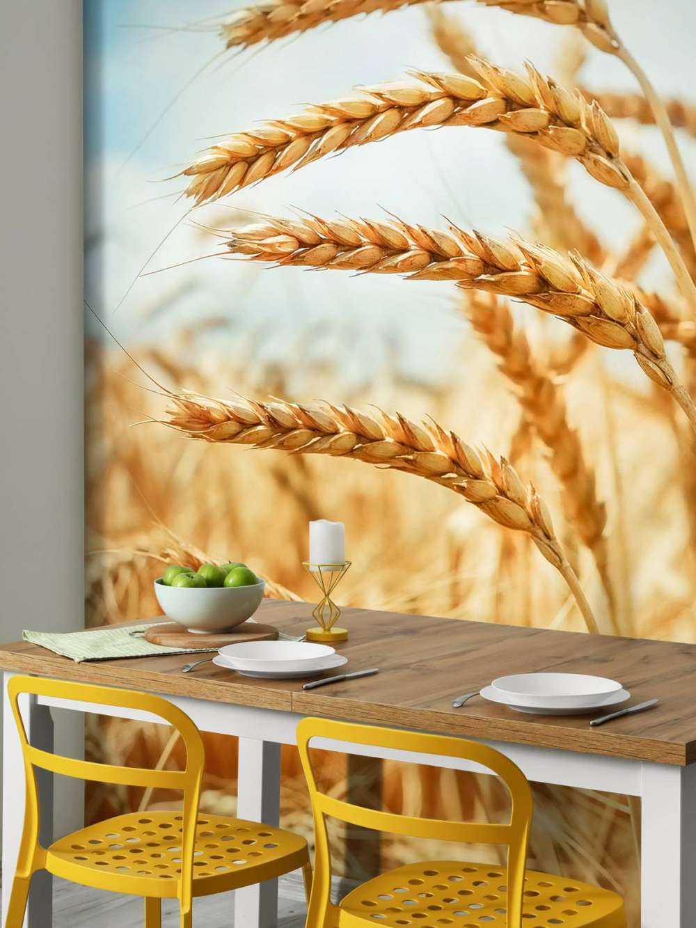 Primo piano di una pianta di cereali