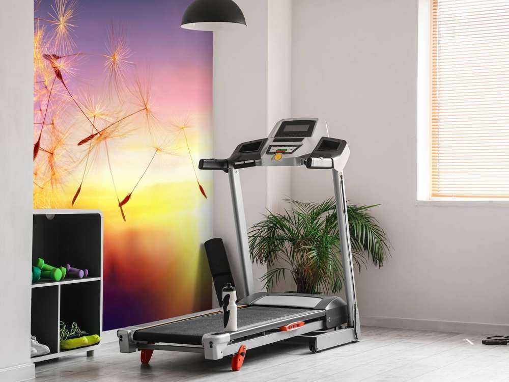 Tarassaco al tramonto