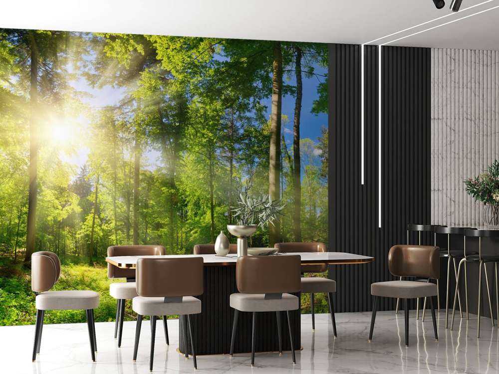 Foresta con raggi di sole