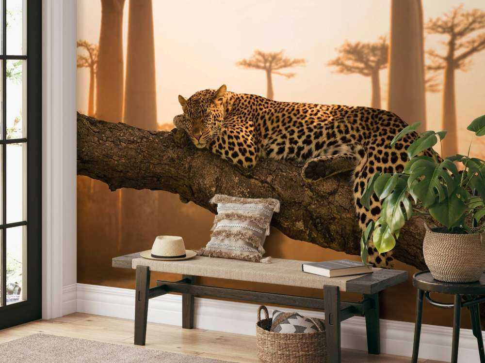 Leopardo addormentato