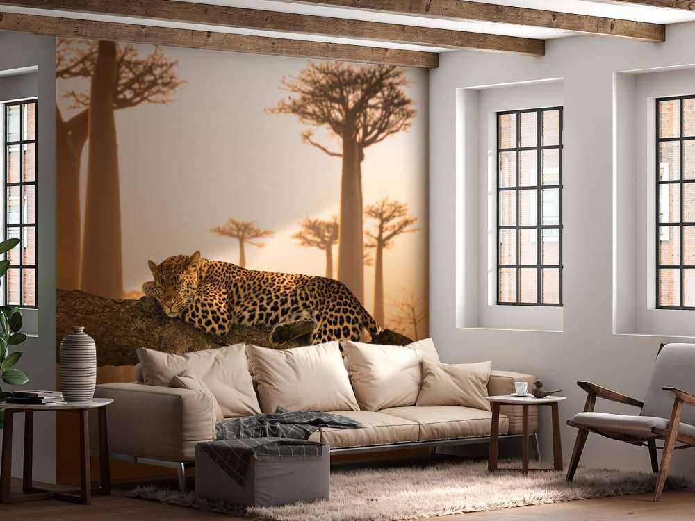 Leopardo addormentato