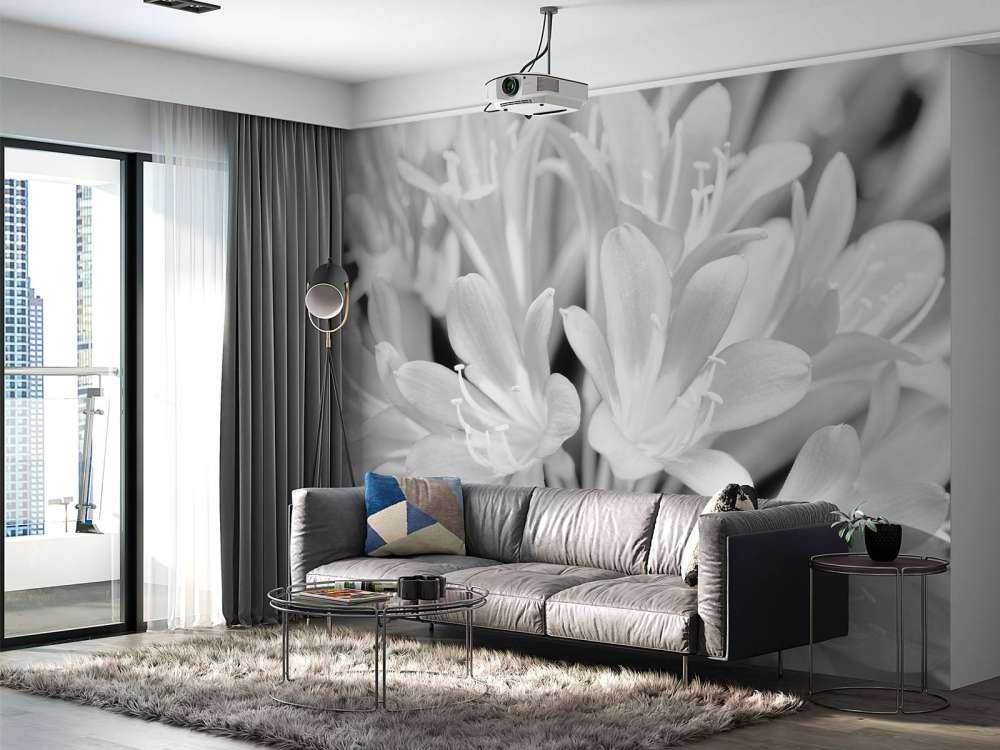 Fiori in fiore, bianco e nero