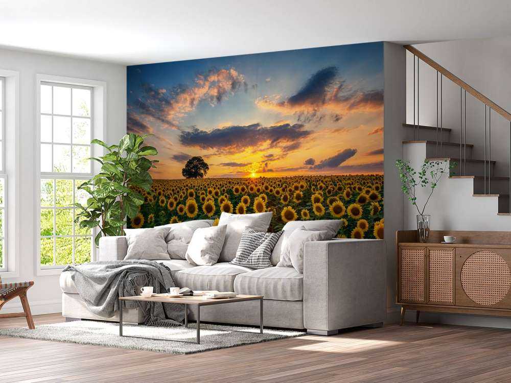 Campo pieno di girasoli