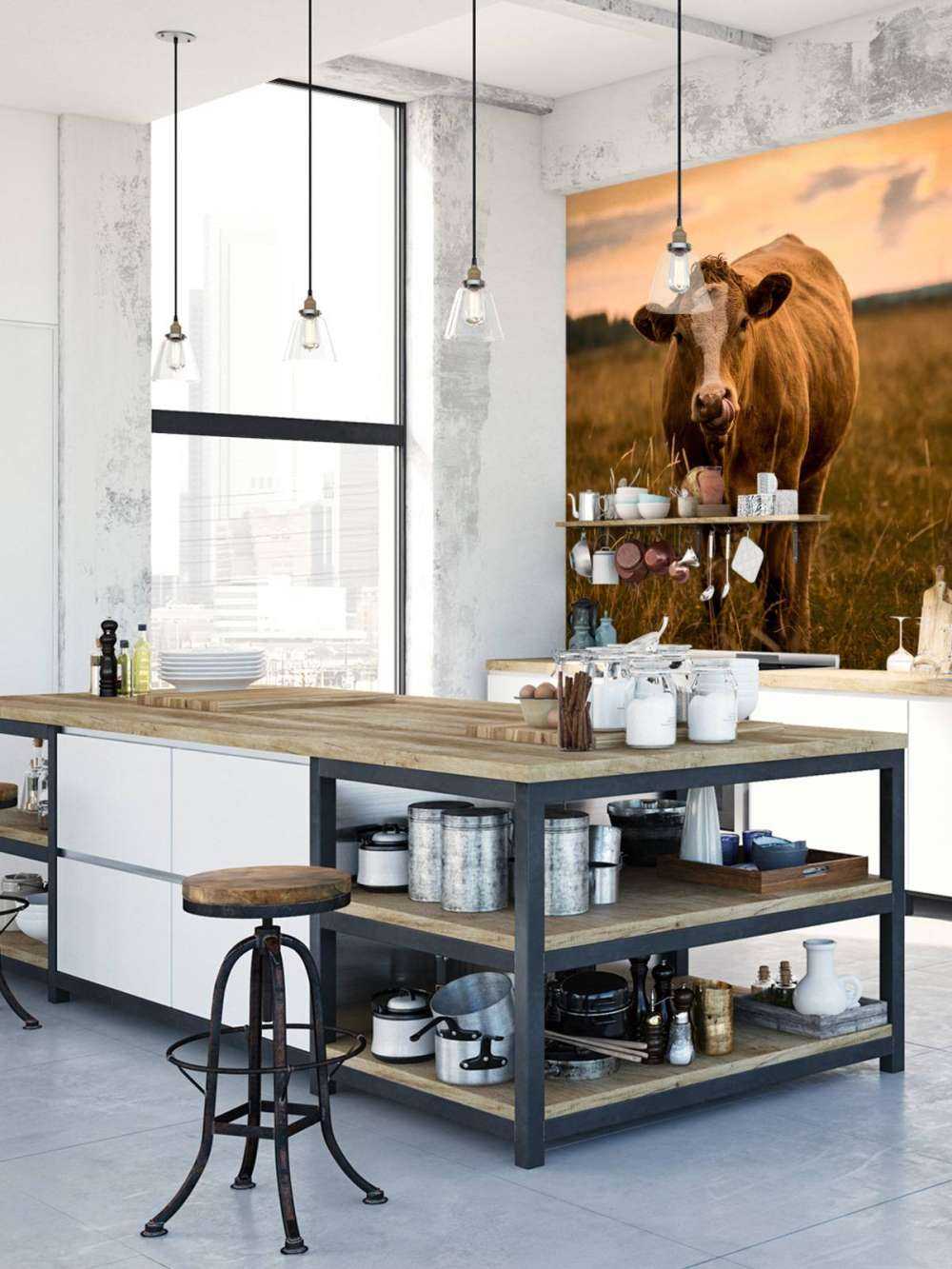 Mucca con la lingua nel naso