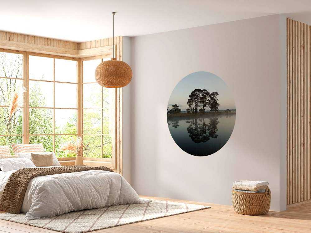 Alberi lungo i boschi